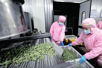 資本入局，電商煥新 生態循環農業與農村電商共繪鄉村振興新圖景